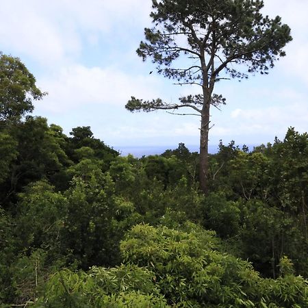 Casas Do Caminho Novo Sao Roque do Pico Ngoại thất bức ảnh